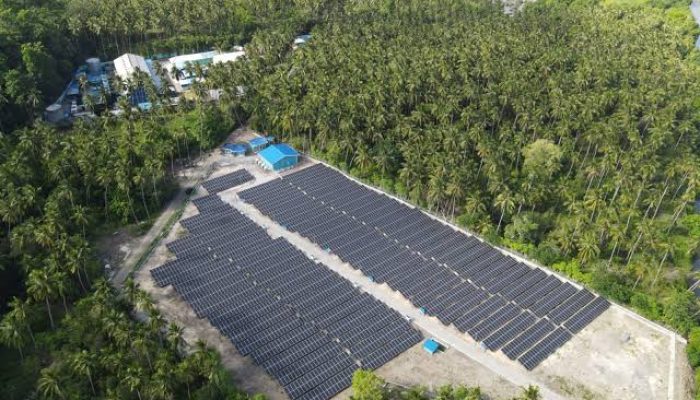 Pemerintah Indonesia Perkuat Kerja Sama Energi Terbarukan dengan Jerman