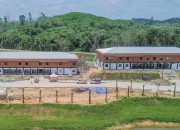 PUPR Bangun Pusat Pelatihan Sepak Bola Timnas di IKN