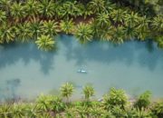 Sungai Maron Pacitan Vegetasi Alam Masih Terjaga