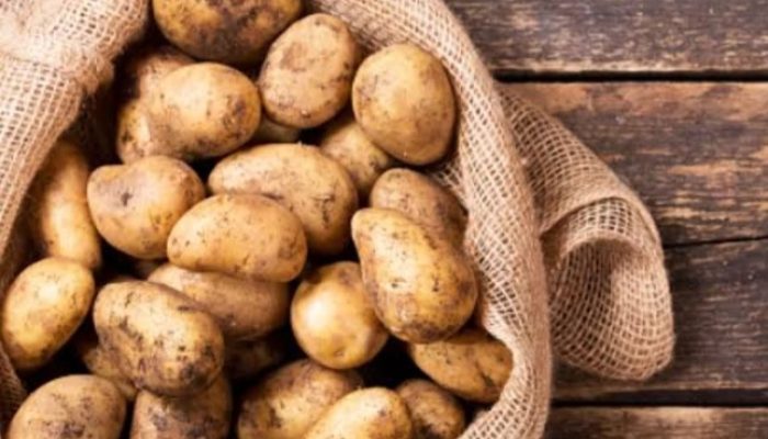 Berikut 4 Manfaat Konsumsi Kentang Bagi Kesehatan Tubuh