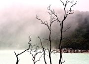 Ke Bandung? Berikut 7 Rekomendasi Destinasi Wisata yang Menarik