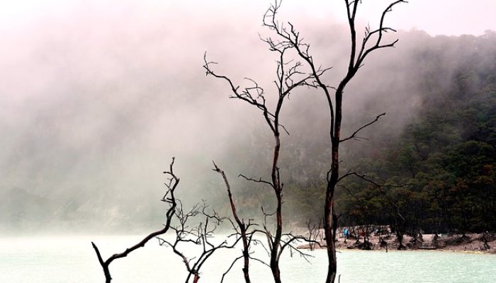 Ke Bandung? Berikut 7 Rekomendasi Destinasi Wisata yang Menarik