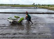 Kementan: Laporkan Pungli Bantuan Alsintan!