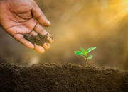 Perlunya UU Sumber Daya Alam Untuk Memperbaiki Indonesia