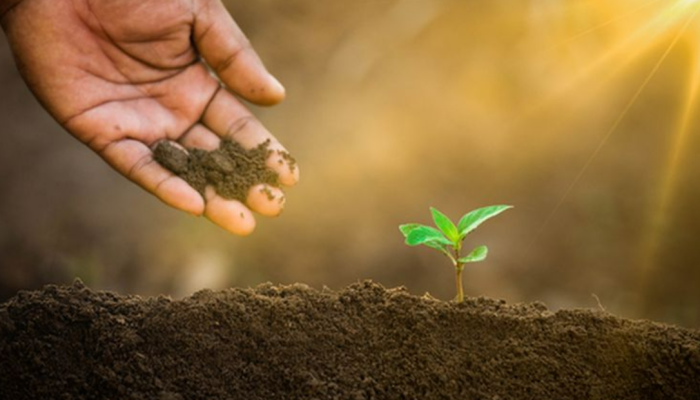 Perlunya UU Sumber Daya Alam Untuk Memperbaiki Indonesia