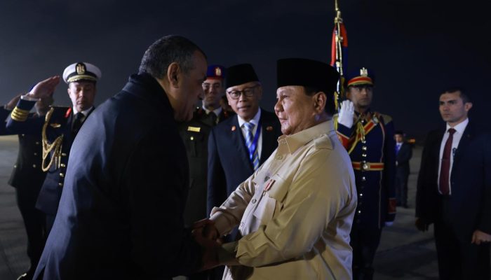 Presiden Prabowo Hadiri KTT D-8 di Mesir