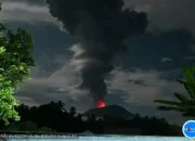 Gunung Ibu Kembali Erupsi, Tinggi Kolom Abu Capai 4.000 Meter
