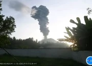Kembali Erupsi, Status Gunung Ibu Naik level ‘Awas’