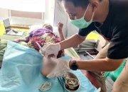 Hari ke-14, EMT Indonesia Layani 660 Warga Myanmar