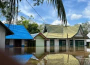 Banjir Hantam 9 Kecamatan di Kabupaten Barito Utara