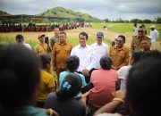Mentan Amran Dampingi Wapres Gibran ke NTT, Tegaskan Komitmen Terus Dorong Kemajuan Pertanian