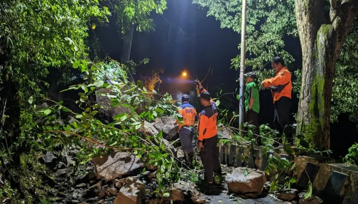 Longsor Tebing Batu di Ponorogo, BPBD Kerahkan Alat Berat