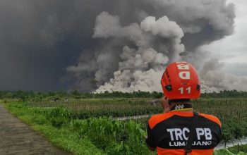 BNPB Terus Pantau Aktivitas Vulkanik Gunung Semeru