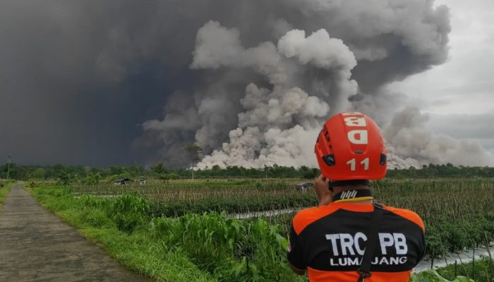 BNPB Terus Pantau Aktivitas Vulkanik Gunung Semeru