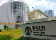 RSUI Tembus 62 Dunia: Lompatan Besar di Bawah Kepemimpinan Rektor UI