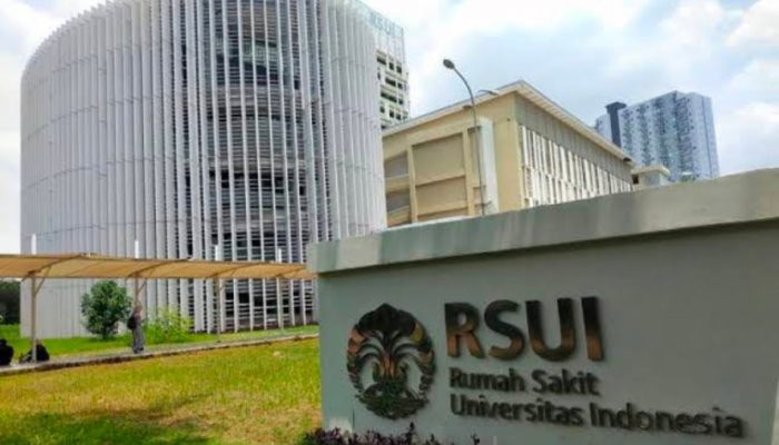 RSUI Tembus 62 Dunia: Lompatan Besar di Bawah Kepemimpinan Rektor UI