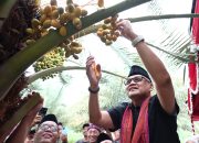 Kemenhaj Siapkan Platform Oleh-Oleh Haji