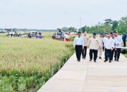 Presiden Umumkan Swasembada Pangan Nasional 2025