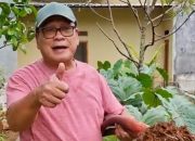 Mazhab HM Ajak Warga Depok Manfaatkan Lahan, Dorong Ketahanan Pangan