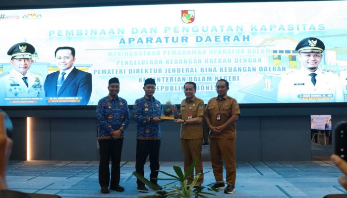 Dirjen Keuda Kemendagri Dorong Pemerintah Daerah Optimalkan Skema Creative Financing